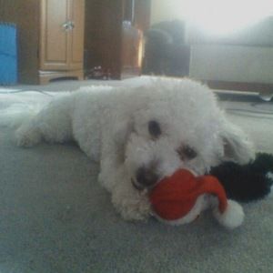 Meet your Posher, Monique